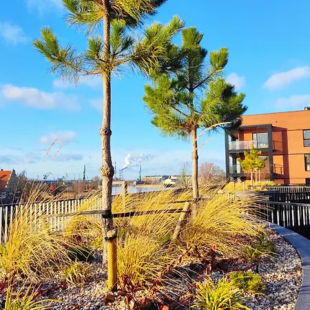 Maves - Sauna & Gym Nadmotlawie * Gdańsk